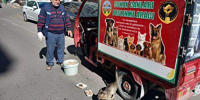 Dermanbaba’dan sokak hayvanları için sessiz çığlık