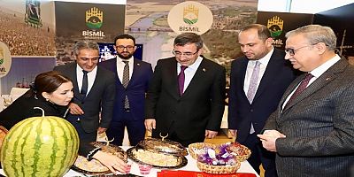 Diyarbakır Tanıtım Günleri, Rekor Katılımla Gerçekleşti