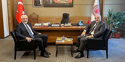 Diyarbakır Valisi ve Ensarioğlu Meclis'te buluştu