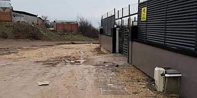 MİLYONLUK VİLLALARIN BULUNDUĞU SOKAKTA 2 YILDIR ÇÖZÜLMEYEN YOL, ÇÖP VE İLAÇLAMA SORUNU