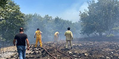 Seyitgazi'de orman yangınına ekiplerin müdahalesi başladı