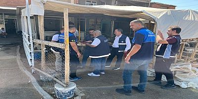 Yeniköy Mezarlığı civarında hayvan satışı yasaklandı